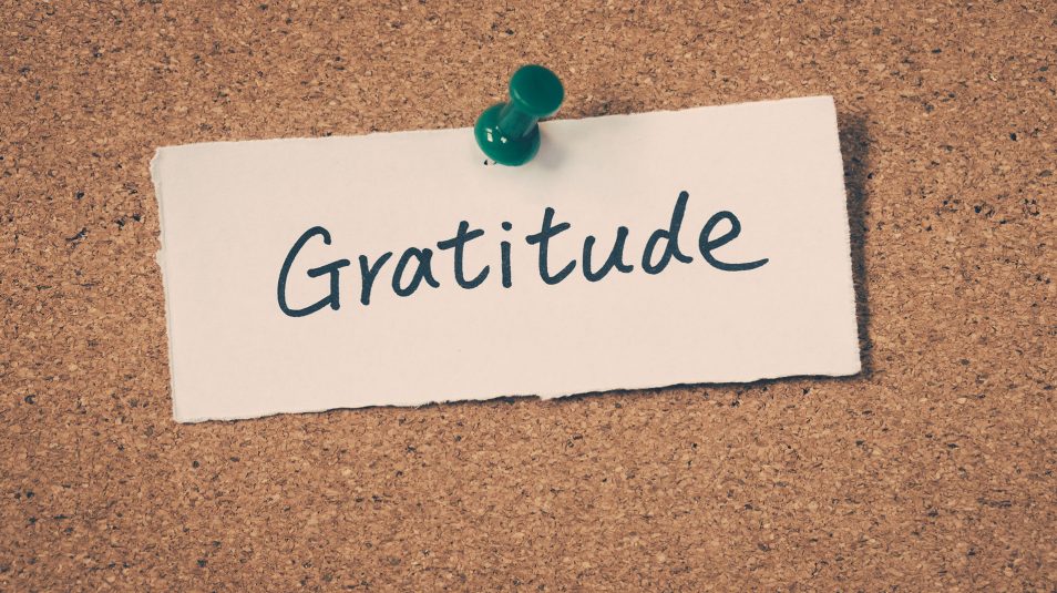 Daily Gratitude - Lead Change